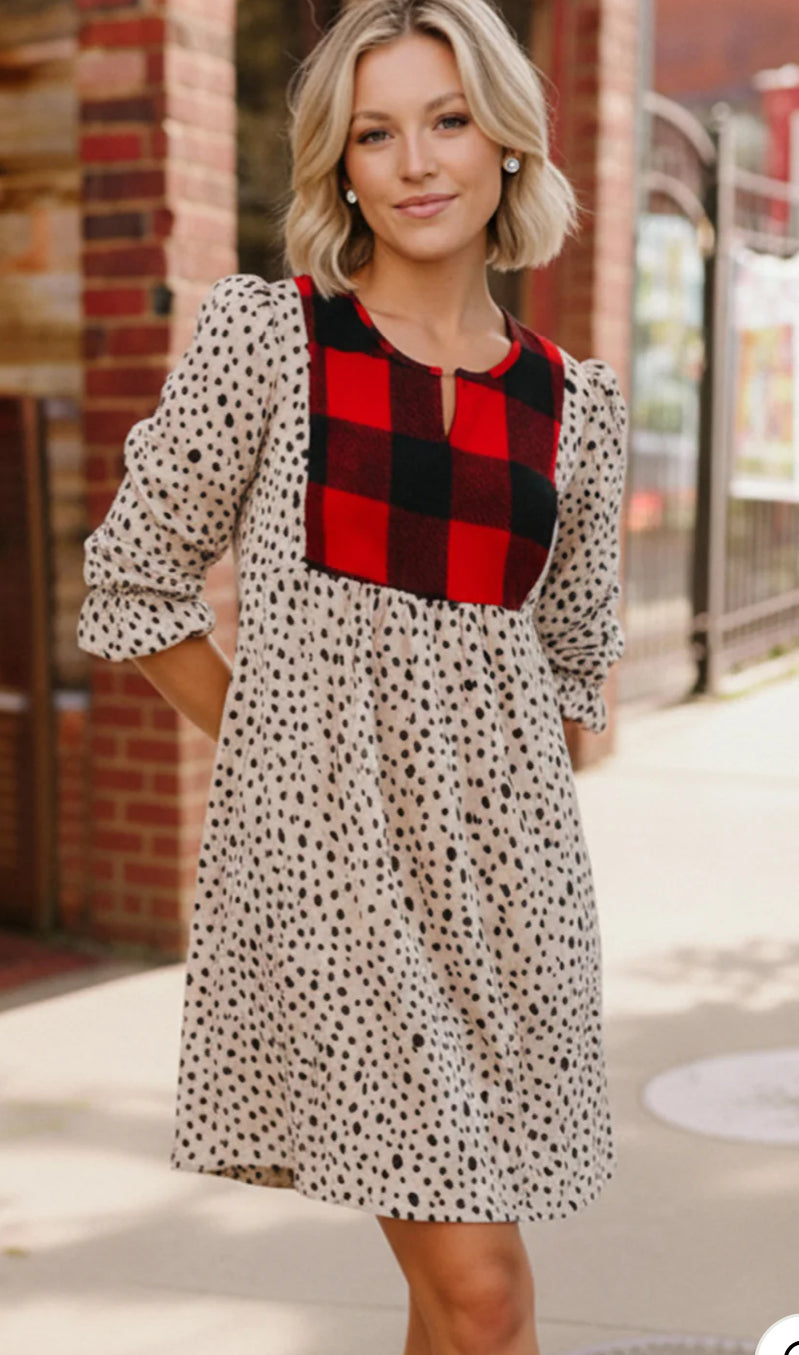 Plaid Print Dress